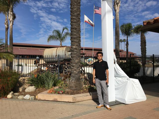 Palm Tree Radio Station